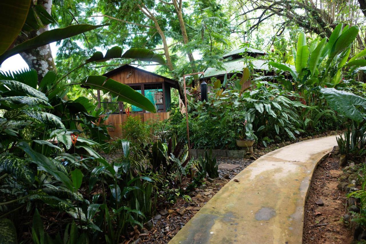 Las Brisas Del Sur Ojochal Exteriér fotografie