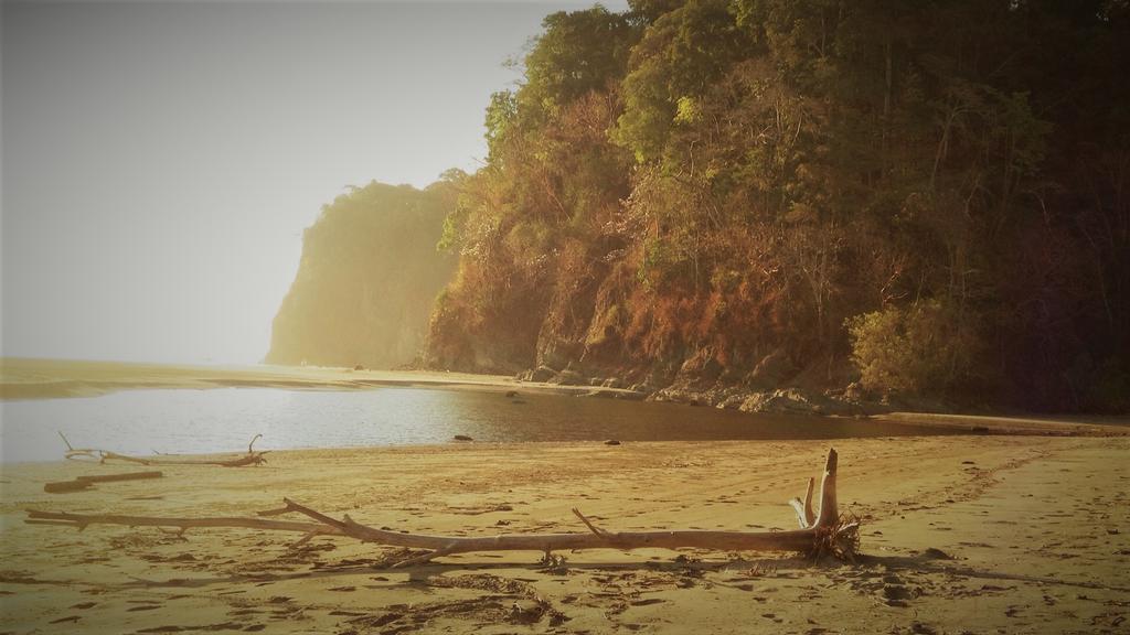Las Brisas Del Sur Ojochal Exteriér fotografie
